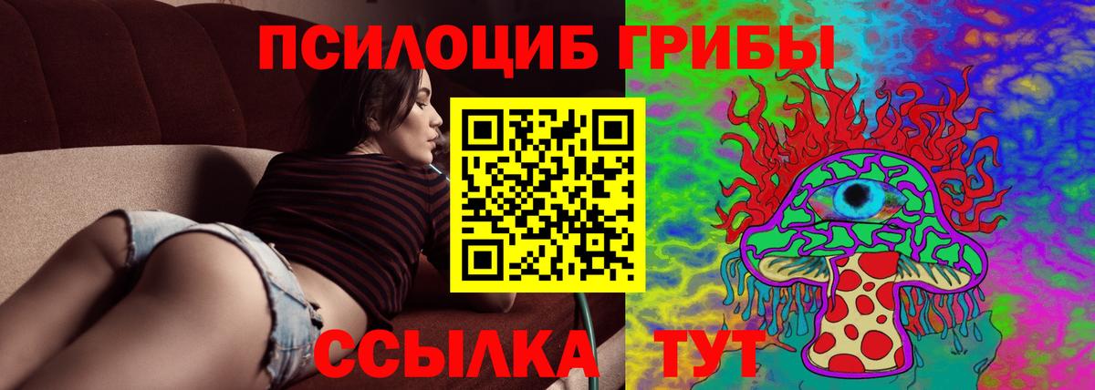 Галлюциногенные грибы MAGIC MUSHROOMS Киселёвск