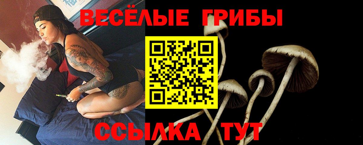 Галлюциногенные грибы GOLDEN TEACHER  Галлюциногенные грибы GOLDEN TEACHER  Вход с VPN  Киселёвск 